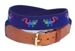 Add a little color to any outfit with the Boys Geicko ribbon belt